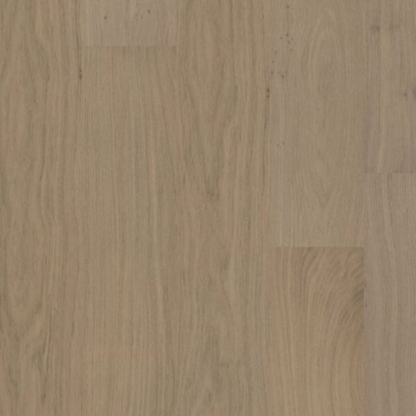 European Oak - Salted Biscotti 8 1/2" Engineered Hardwood 20.84sqft/box