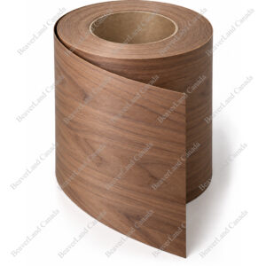 VN401 Veneer 12'' Walnut Sell By Feet