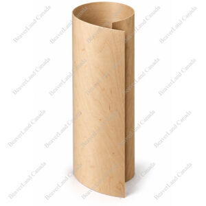 VN201 Veneer 4ft*8ft Maple Whole Pc