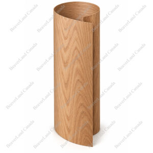 VN101 Veneer 4ft*8ft Red Oak Whole Pc