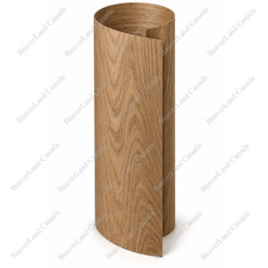 VN301 Veneer 4ft*8ft White Oak Whole Pc