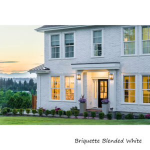 Alternative Masonry Briquette Series