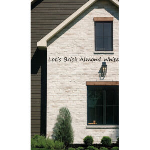 Masonry Brick Lotis Series