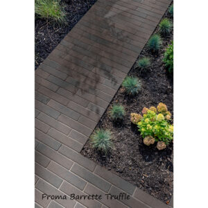 Landscape Proma Barrette Series