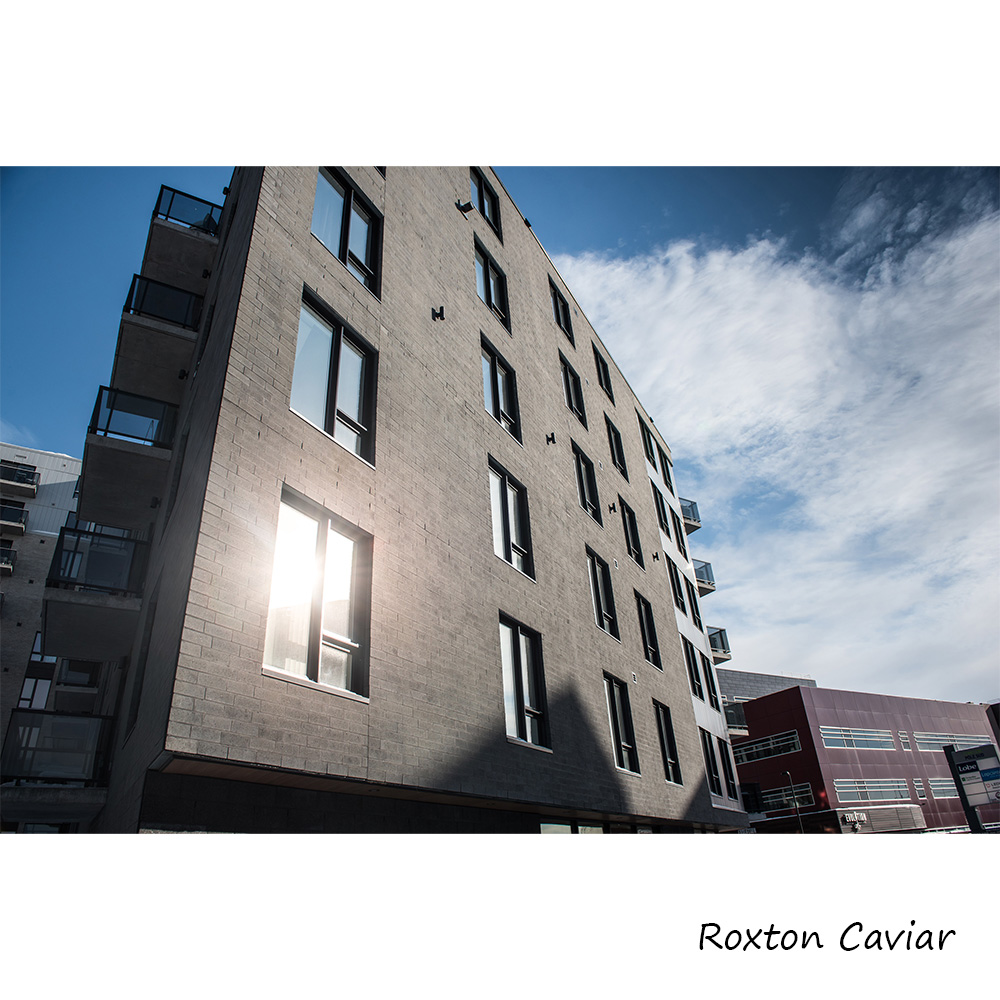 Masonry Brick Roxton Series - Image 4