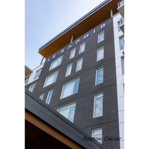 Masonry Brick Roxton Series