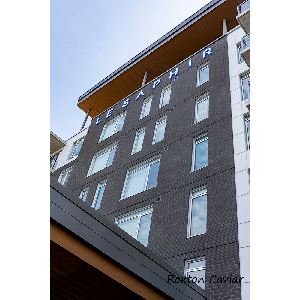 Masonry Brick Roxton Series
